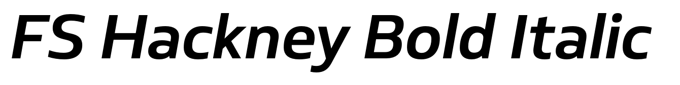 FS Hackney Bold Italic